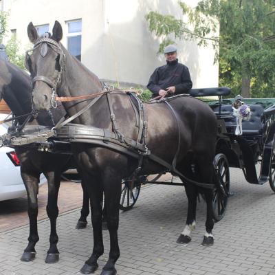 Hochzeiten 74