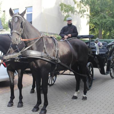 Hochzeiten 75